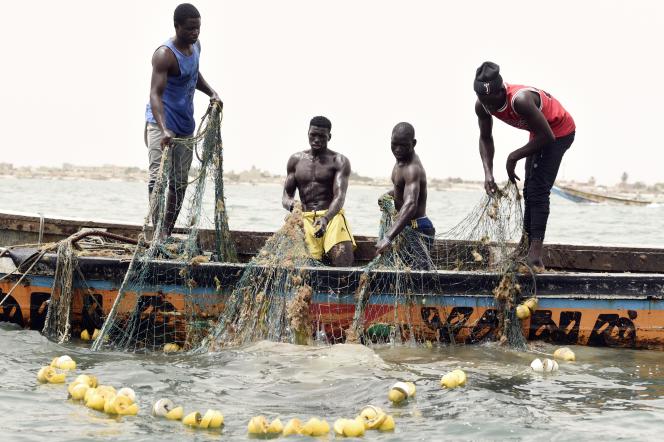 Illustration de l'article : Sénégal : violences entre pêcheurs, symbole de la raréfaction du poisson