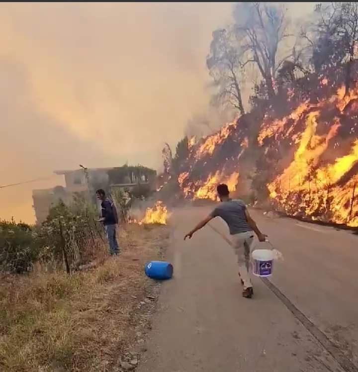 Illustration de l'article : Plus de 34 morts dans de gigantesques incendies de forêts en Algérie