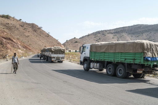 Illustration de l'article : Ethiopie : le ventre vide, des Afar regardent passer les camions d'aide vers le Tigré