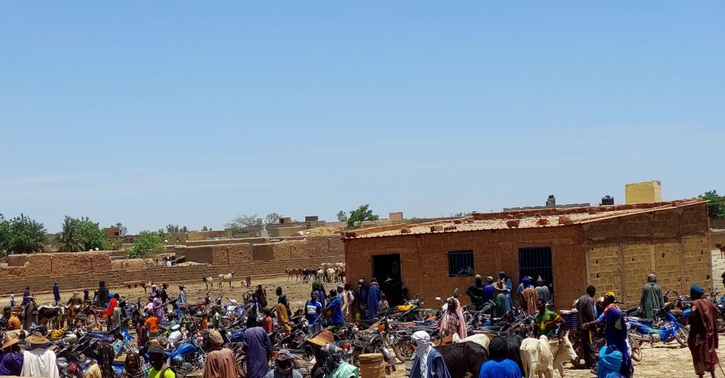 Illustration de l'article : L'Aïd-Mali : A Mopti, plus gros taureaux cherchent désespérément preneurs
