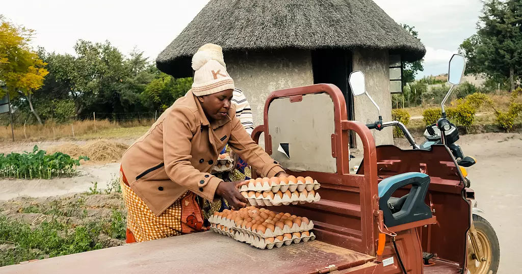Illustration de l'article : Zimbabwe: tricycles solaires pour les trajets des paysannes