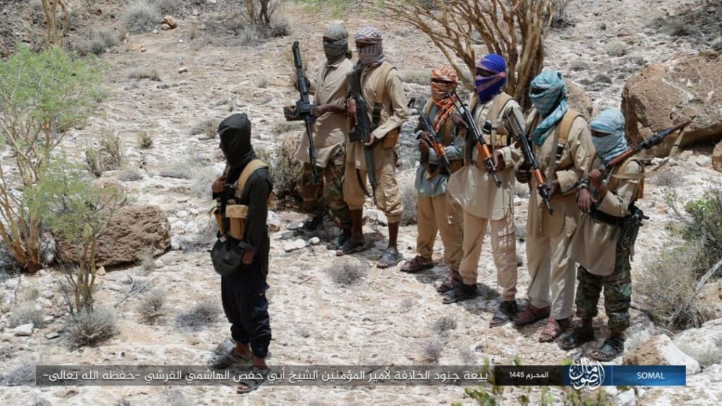 Illustration de l'article : Comment les États-Unis tentent d’asphyxier économiquement les franchises de l’État islamique en Afrique ?